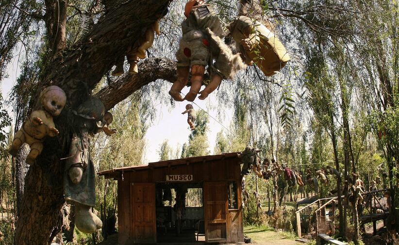 Si quieres saber los precios oficiales y otras recomendaciones para visitar los embarcadores puedes ingresar a la página de Xochimilco. Foto: Archivo EL UNIVERSAL