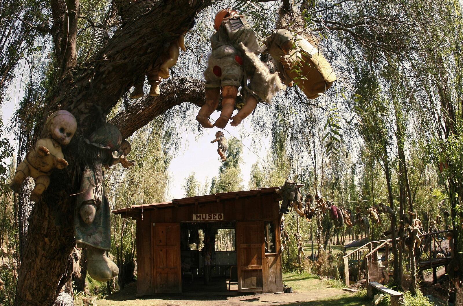 Si quieres saber los precios oficiales y otras recomendaciones para visitar los embarcadores puedes ingresar a la página de Xochimilco. Foto: Archivo EL UNIVERSAL