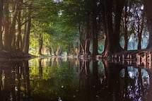 (Gretel Zanella) 7 tours en Xochimilco fuera de lo común y que no querrás perderte