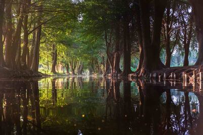 (Gretel Zanella) 7 tours en Xochimilco fuera de lo común y que no querrás perderte