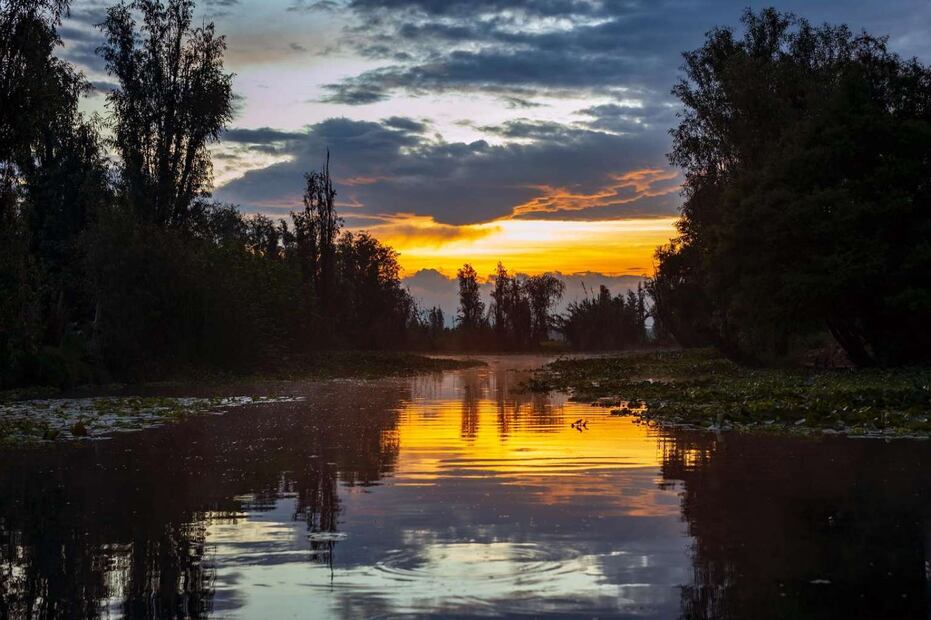 Foto: Arca Tierra