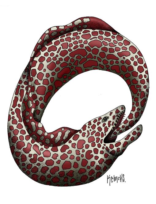 Cartón de KEMCHS